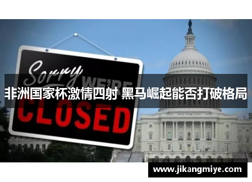 非洲国家杯激情四射 黑马崛起能否打破格局